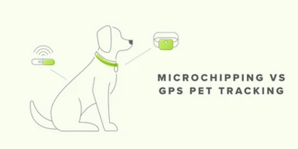 Dog GPS vs. - Whistle