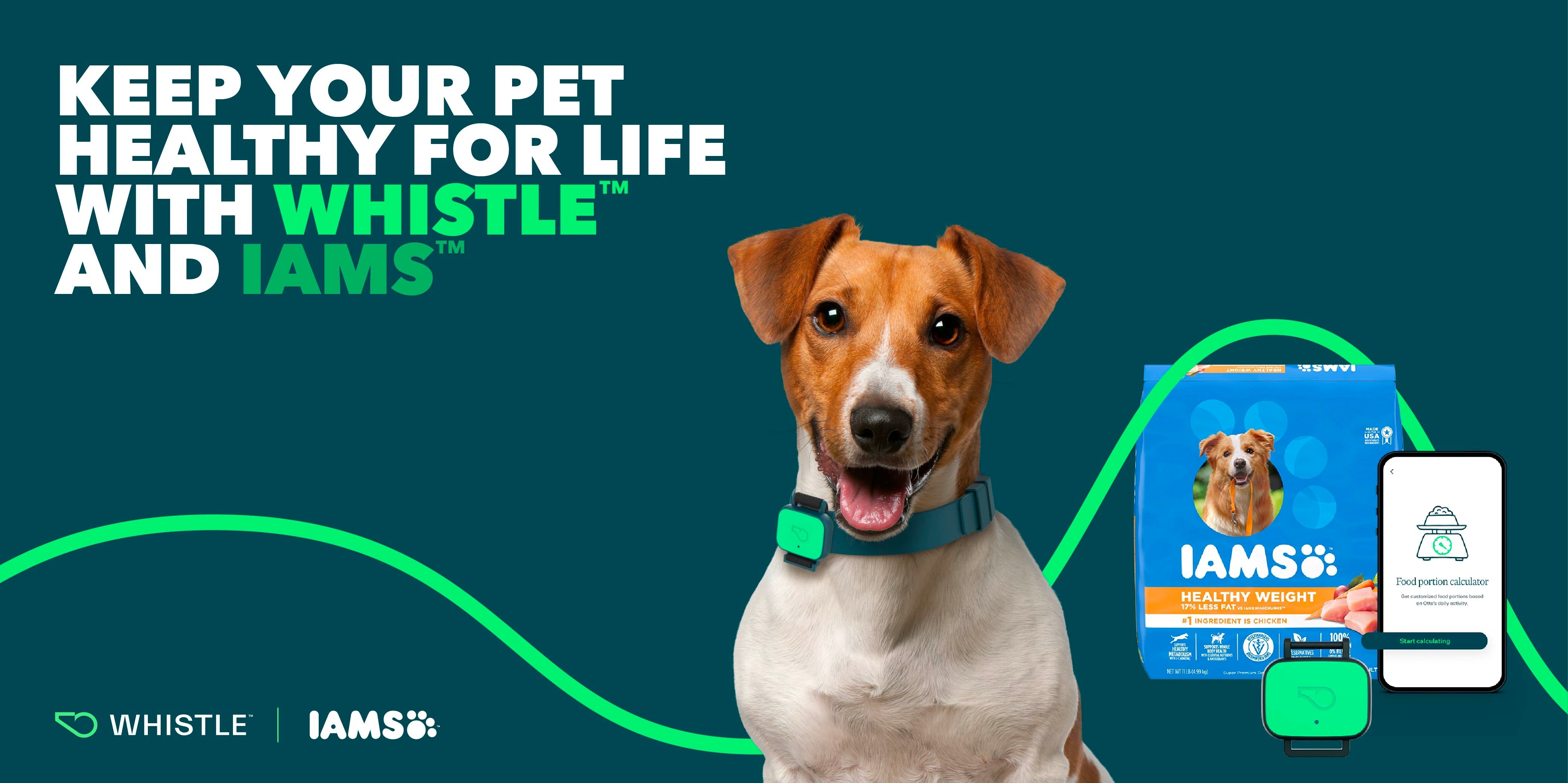 Keep your pet healthy for life with Whistle and Iams