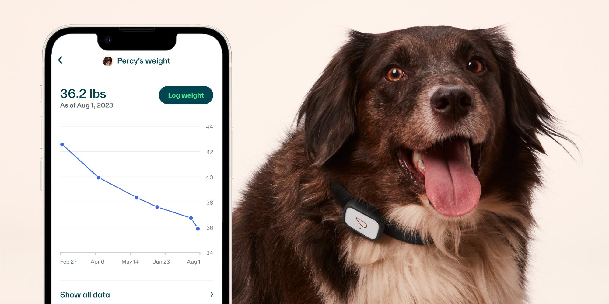 Dog weight tracker best sale