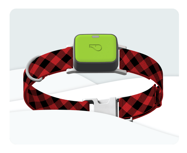 Whistle Go Explore Holiday Dog Collar