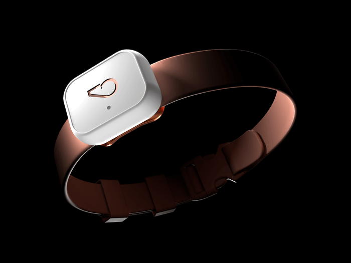 Whistle Health 2.0 Device